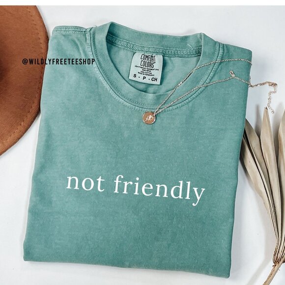 Comfort Colors Tops - NEW Comfort Colors® Not Friendly Adult Humor Sarcastic Statement Tee Shirt
